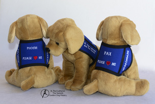 Phoebe and Pax stuffed dogs with their custom vests. Please love me they say.