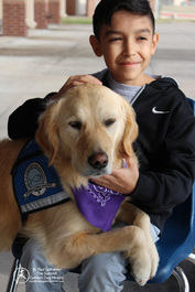 A young boy meeting Phoebe Comfort Dog at a Crisis Shelter after a tornado.